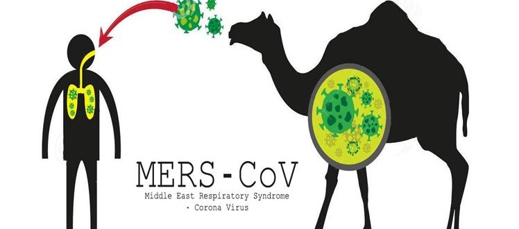  MIDDLE EAST RESPIRATORY SYNDROME (MERS)